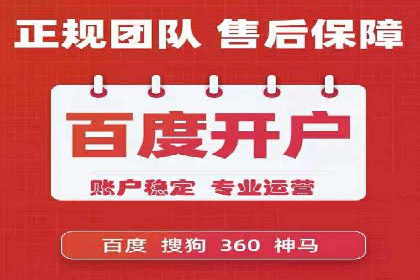 某品牌SEM广告投放的ROI提升案例